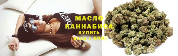 mix Козельск