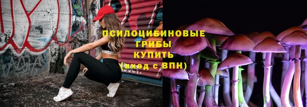 mix Козельск
