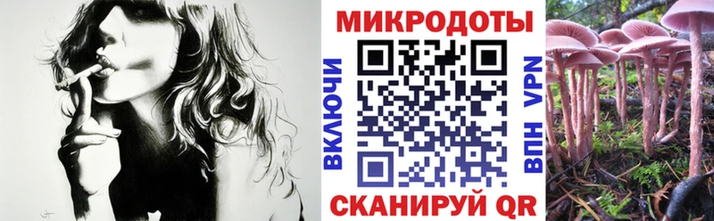 Псилоцибиновые грибы Psilocybe  Купить закладки  Новочеркасск 